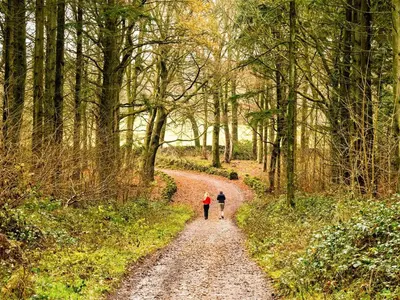 two people walking down a dirt road in the woods at 3 Bed in Grange-over-sands oc-66725 in Holker