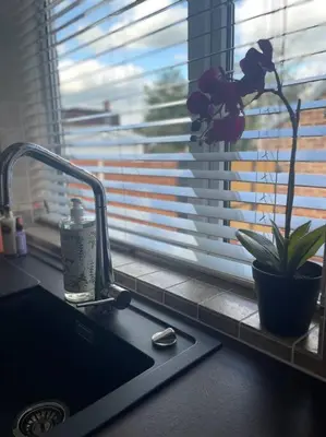 a kitchen counter with a plant and a window at Fylde Coast Stays - Home from Home in Freckleton