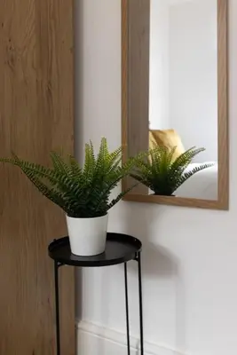 a plant sitting on a stool in front of a mirror at Flatzy - Modern 3 Bedroom Home in City Centre in Liverpool