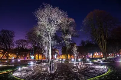a tree in a park at night with lights at Large 2 Bedroom City Centre Apartment + Parking in Preston