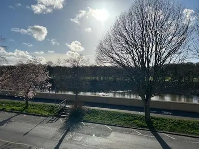 a tree sitting in a parking lot next to a river at Riverside by Teil in Preston