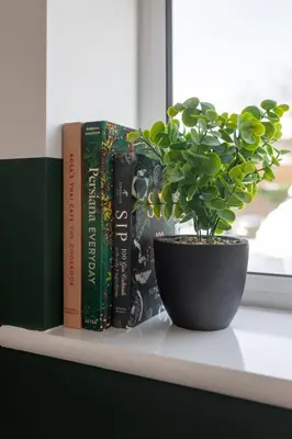 a shelf with books and a potted plant on it at Modern 2-Bed Townhouse in Kirkdale in Liverpool