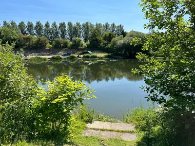 a view of a lake from between two trees at Sherwood 33 in Carnforth