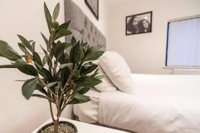 a plant sitting on a table in a living room at Camden Apartments 1 in Liverpool