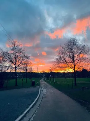 a road with trees and a sunset in the background at Hardy Hideaway in Ulverston