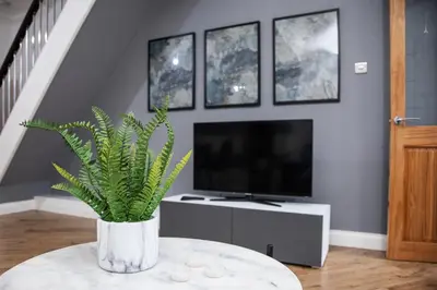 a living room with a vase with a plant on a table at Reduced Price, Long or Short Stays, Free Parking in Liverpool