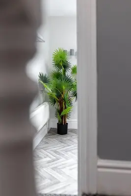 a hallway with a potted plant in a room at Newcombe House - Air Host & Stay - Free Parking - Contractor Friendly in Liverpool