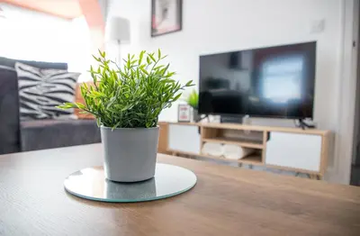 a potted plant sitting on a table in a living room at Beach Apartments - 1st Floor Cleveleys in Cleveleys