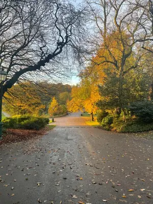 a tree lined road in a park with fall foliage at East Cliff in Preston