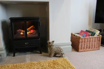 a cheetah sitting on the floor in front of a stove at Woodland Retreat in Lytham. in Lytham St Annes