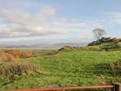 a grassy hill with a tree on top of it at Crag View Cottage in Barrow in Furness