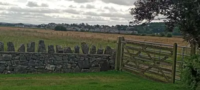a fence in a field next to a stone wall at Sunnyside Farm in Grange Over Sands