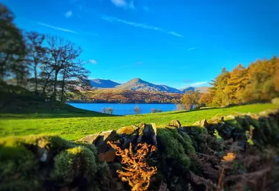 a field with a stone wall and a lake at Buxton Mews in Ulverston