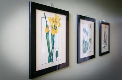 four pictures of flowers are hanging on a wall at 40 The Gill - Ulverston Town Centre in Ulverston