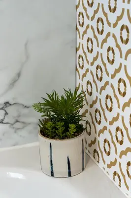 a potted plant sitting on a counter next to a wall at Wiswell View Lodge: Pendle View Holiday Park in Clitheroe