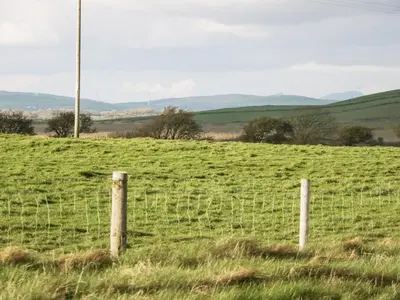 a fence in the middle of a field at Driftwood Studio in Ulverston