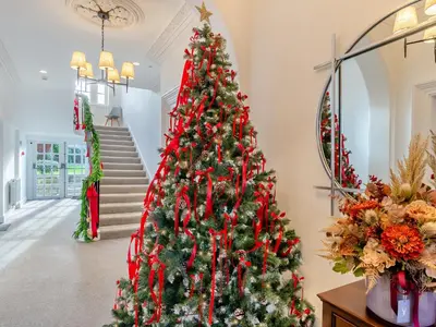 a christmas tree in theoyer of a house at Uk46865 - Helvellyn in Ulverston