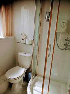 a bathroom with a toilet and a shower at Craigwell in Morecambe