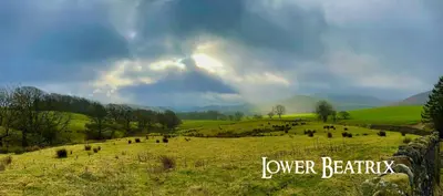 a field of grass with cows in the distance at Hobbit - Cosy Holiday Lodge with Pool in Longridge