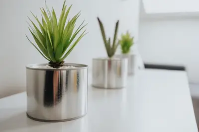two metal planters with plants in them on a counter at Huge 5bedrooms/Ensuite/Liverpool/Ridley rd/Parking in Liverpool