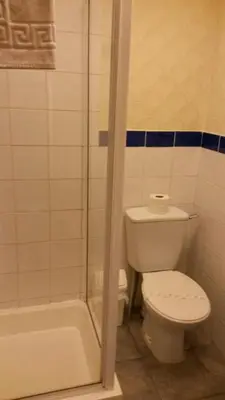a bathroom with a toilet and a shower at The Manuela Rose in Blackpool