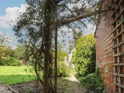 an ivy covered brick wall next to a tree at Stork Cottage in Lancaster