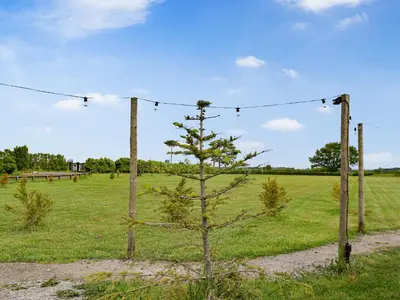 a small pine tree in a field with a fence at Laurel Pod - Uk47203 in Westhead
