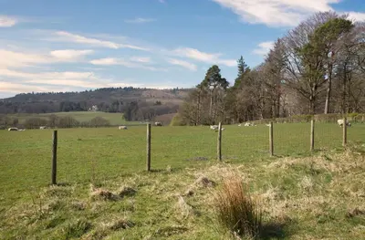 a fence in a field with sheep in the distance at Bleasdale at Lantern and Larks in Chipping