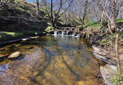 a river with a waterfall in the middle of a forest at Curlew - Bleasdale in Chipping