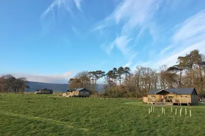 a group of houses in a green field with trees at Redshank - Bleasdale in Chipping