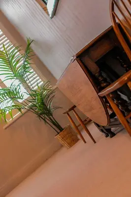 a potted plant sitting next to a window at 107a - 3 Double Bedrooms in Lytham St Annes