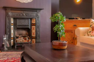 a living room with a table with a tree on it at 107a - 3 Double Bedrooms in Lytham St Annes
