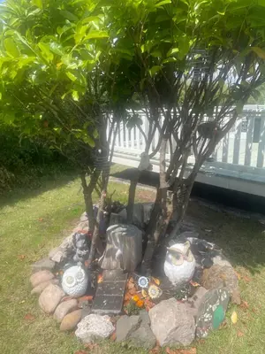 a garden with a fire pit under a tree at 147a Port Haverigg in Millom