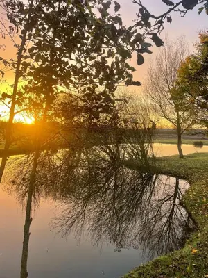 a reflection of a tree in the water at sunset at Lake View Lodge in Lytham St Annes