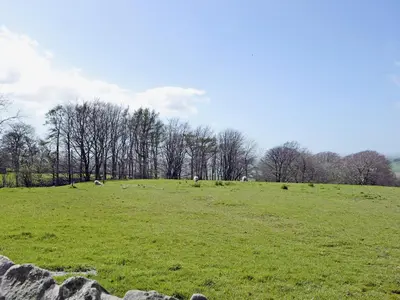 a field of green grass with trees in the background at Valley View - 29530 in Scotforth