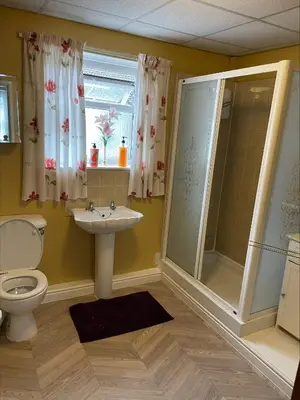 a bathroom with a toilet and a sink and a shower at mater dei suite near royal liverpool hospital in Liverpool