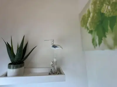 a bathroom sink with a faucet and a plant at Hare Meadow Lodge in Mellor