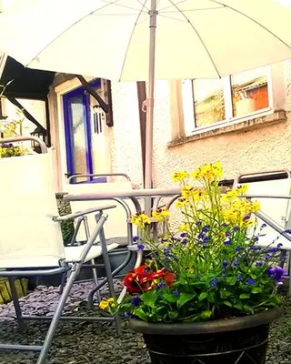an umbrella and some flowers in a pot at Marjorie's Cottage in Ulverston