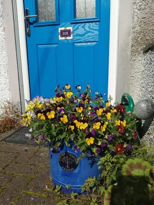 a blue door with a bunch of flowers in front of it at Marjorie's Cottage in Ulverston