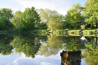 a view of a lake with trees and reflections at Goldie's Retreat in Blackrod