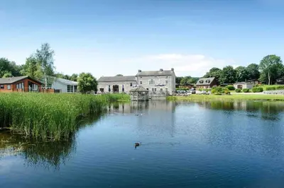 a duck swimming in a lake in front of a house at Driftwood Lodge - South Lakeland Leisure Village in Carnforth