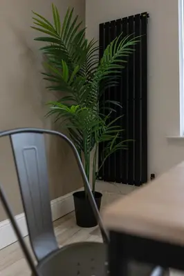 a green plant in a black pot next to a chair at The Wavertree Rooms - Air Host & Stay - 6 Bedrooms in Liverpool