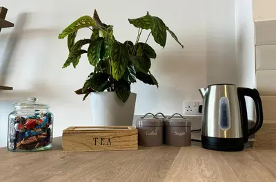 a coffee pot and a plant on a counter at Clock Tower Apartments 1 in Morecambe