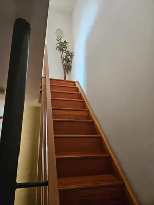 a stairwell with wooden steps and a potted plant at Cable House, Liverpool City Centre in Liverpool