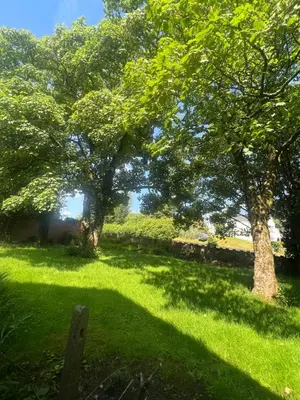 two trees in a field with green grass at Cozy 3-Bedroom House in Bolton, Huge Garden in Egerton