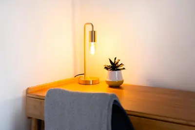 a desk with a lamp and a potted plant on it at Eco-Friendly Stay in Barrow-In-Furness, Lake District in Barrow in Furness