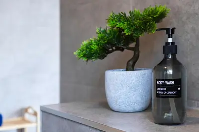 a bottle of soap next to a potted plant at Eco-Friendly Stay in Barrow-In-Furness, Lake District in Barrow in Furness
