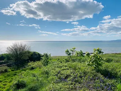 a view of the ocean from a field of grass at Cockle Bay Cottage in Morecambe