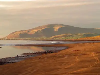 a herd of birds standing on a beach with a mountain at The Rafters Bank House Stunning Apartment in Millom