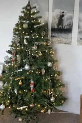 a christmas tree with lights and ornaments on it at Estuary View Bank House Stunning apartment in Millom